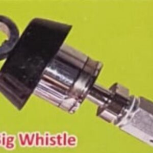 Hotel big whistle